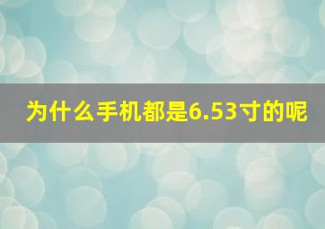 为什么手机都是6.53寸的呢