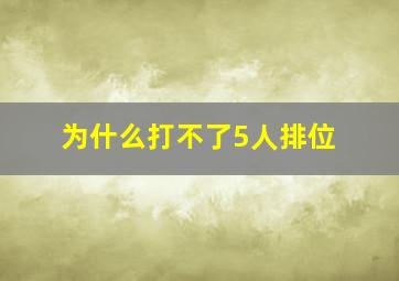 为什么打不了5人排位