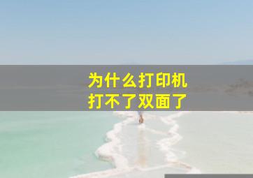 为什么打印机打不了双面了