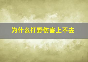 为什么打野伤害上不去