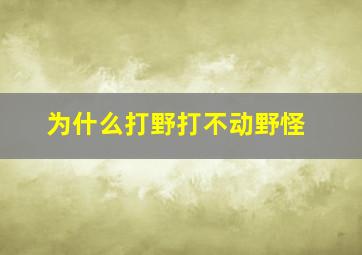 为什么打野打不动野怪