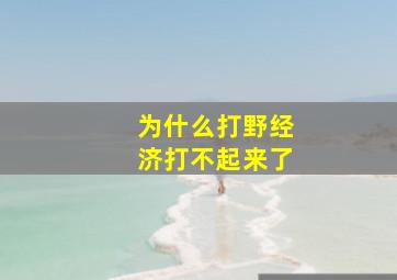 为什么打野经济打不起来了