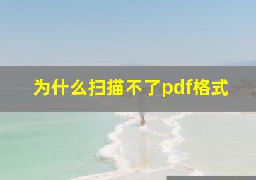 为什么扫描不了pdf格式