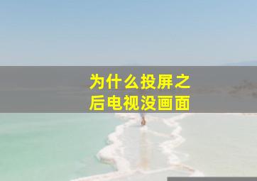 为什么投屏之后电视没画面