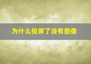 为什么投屏了没有图像