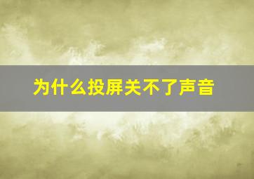 为什么投屏关不了声音