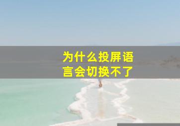 为什么投屏语言会切换不了