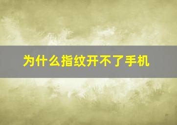 为什么指纹开不了手机