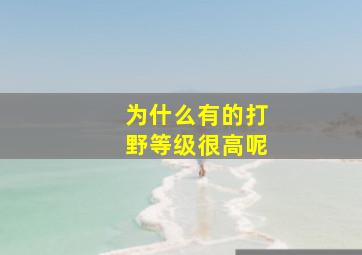 为什么有的打野等级很高呢