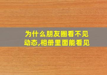 为什么朋友圈看不见动态,相册里面能看见