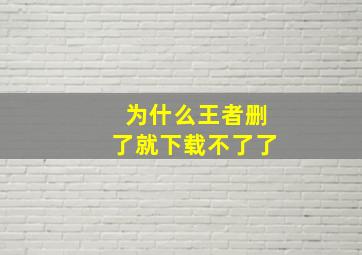 为什么王者删了就下载不了了