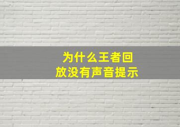 为什么王者回放没有声音提示