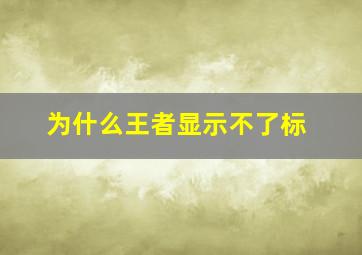 为什么王者显示不了标