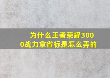 为什么王者荣耀3000战力拿省标是怎么弄的