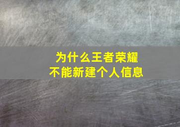 为什么王者荣耀不能新建个人信息