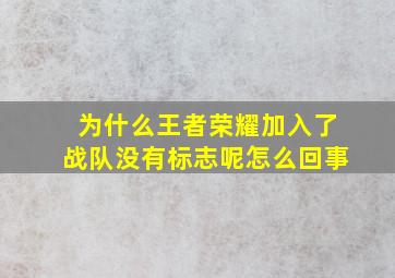 为什么王者荣耀加入了战队没有标志呢怎么回事