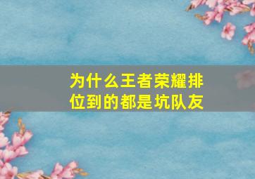 为什么王者荣耀排位到的都是坑队友