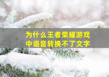 为什么王者荣耀游戏中语音转换不了文字