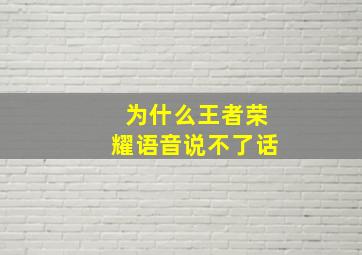 为什么王者荣耀语音说不了话