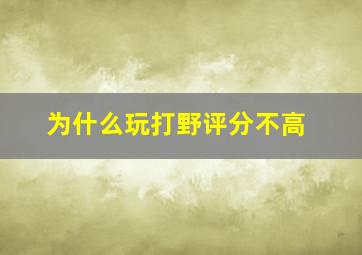 为什么玩打野评分不高