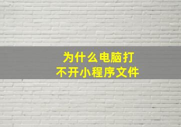 为什么电脑打不开小程序文件