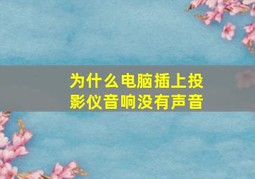 为什么电脑插上投影仪音响没有声音