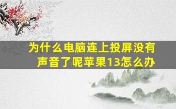 为什么电脑连上投屏没有声音了呢苹果13怎么办