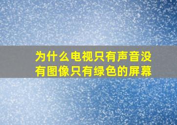 为什么电视只有声音没有图像只有绿色的屏幕