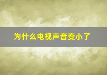 为什么电视声音变小了