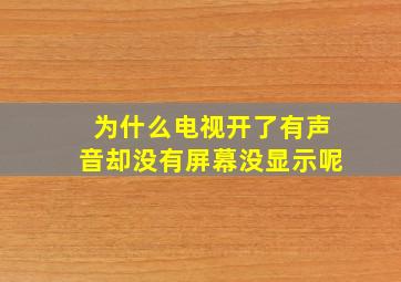 为什么电视开了有声音却没有屏幕没显示呢