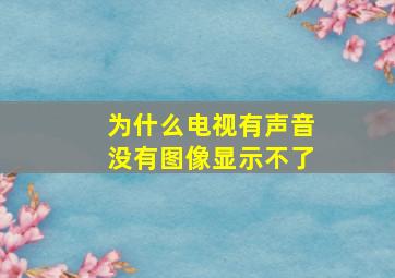 为什么电视有声音没有图像显示不了