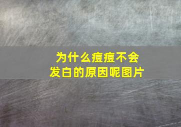 为什么痘痘不会发白的原因呢图片