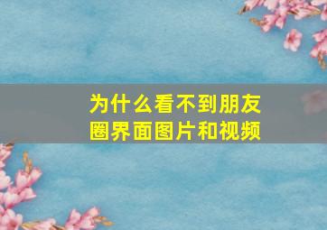 为什么看不到朋友圈界面图片和视频