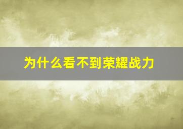 为什么看不到荣耀战力