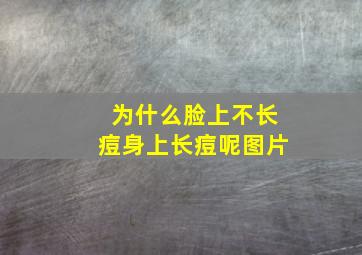 为什么脸上不长痘身上长痘呢图片