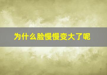 为什么脸慢慢变大了呢