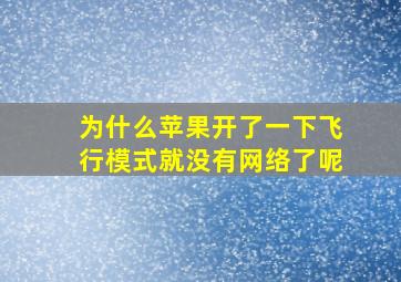 为什么苹果开了一下飞行模式就没有网络了呢