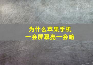 为什么苹果手机一会屏幕亮一会暗