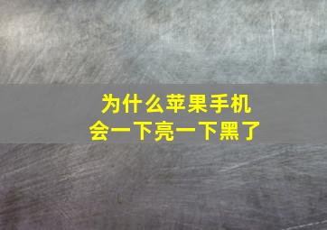 为什么苹果手机会一下亮一下黑了