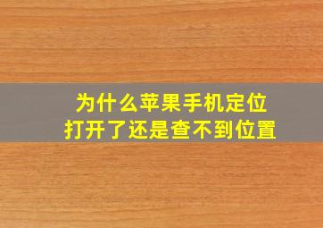 为什么苹果手机定位打开了还是查不到位置