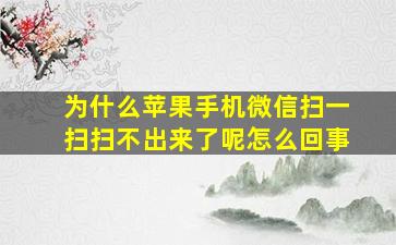 为什么苹果手机微信扫一扫扫不出来了呢怎么回事