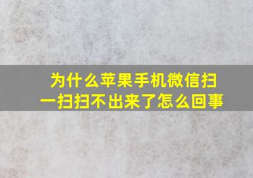 为什么苹果手机微信扫一扫扫不出来了怎么回事