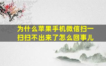 为什么苹果手机微信扫一扫扫不出来了怎么回事儿