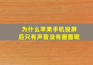 为什么苹果手机投屏后只有声音没有画面呢