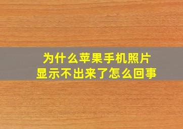 为什么苹果手机照片显示不出来了怎么回事