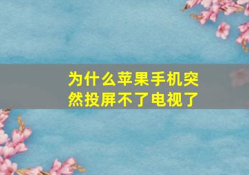 为什么苹果手机突然投屏不了电视了