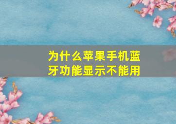 为什么苹果手机蓝牙功能显示不能用