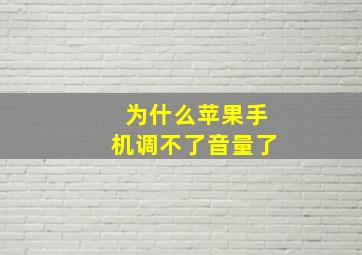 为什么苹果手机调不了音量了