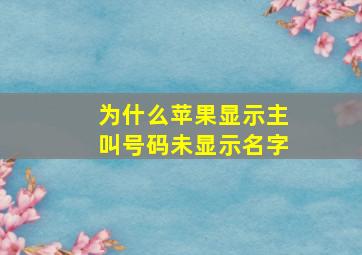 为什么苹果显示主叫号码未显示名字