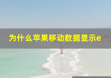 为什么苹果移动数据显示e